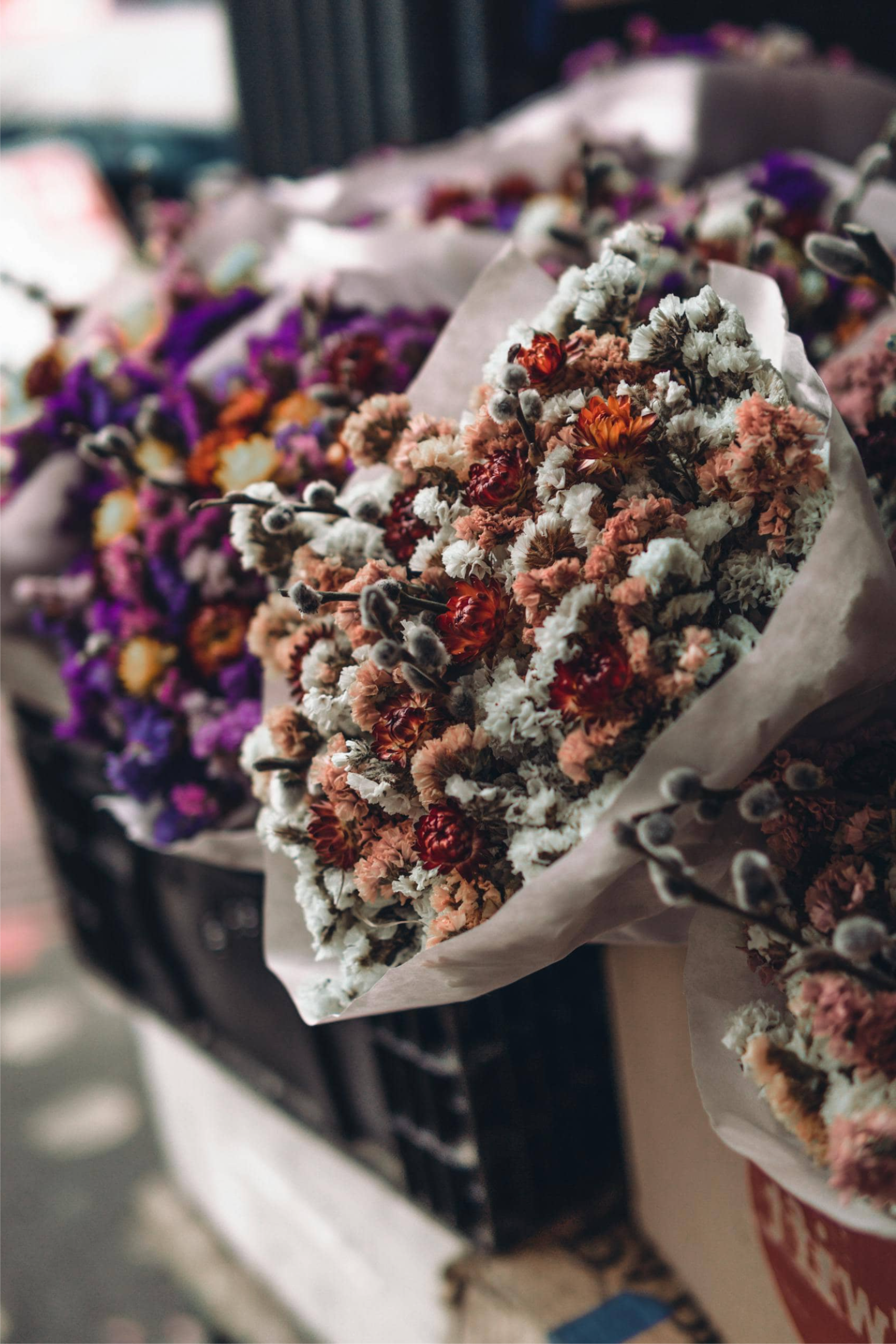 ПОПУЛЯРНЫЕ